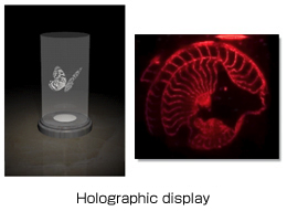 Holographic display
