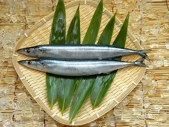 02_10sanma.jpg