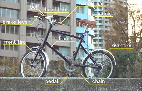 Example_of_System_Bicycle_M.jpg