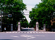 photo: Main Gate