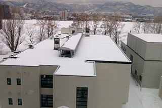 Pic：View from our laboratory