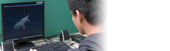 Masashi Furukawa, Doctor of Engineering