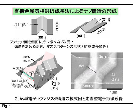Fig: Organometallic vapor phase selective epitaxy