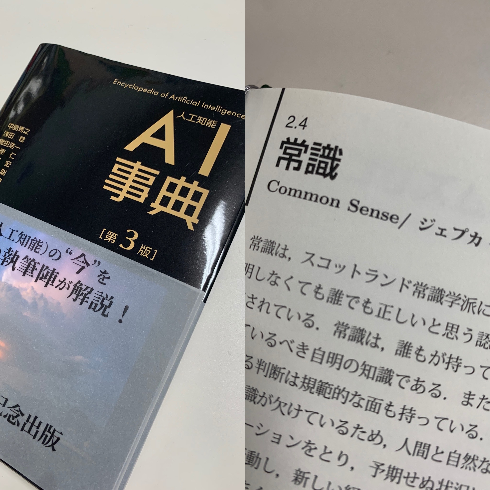 CommonSenseDefinition