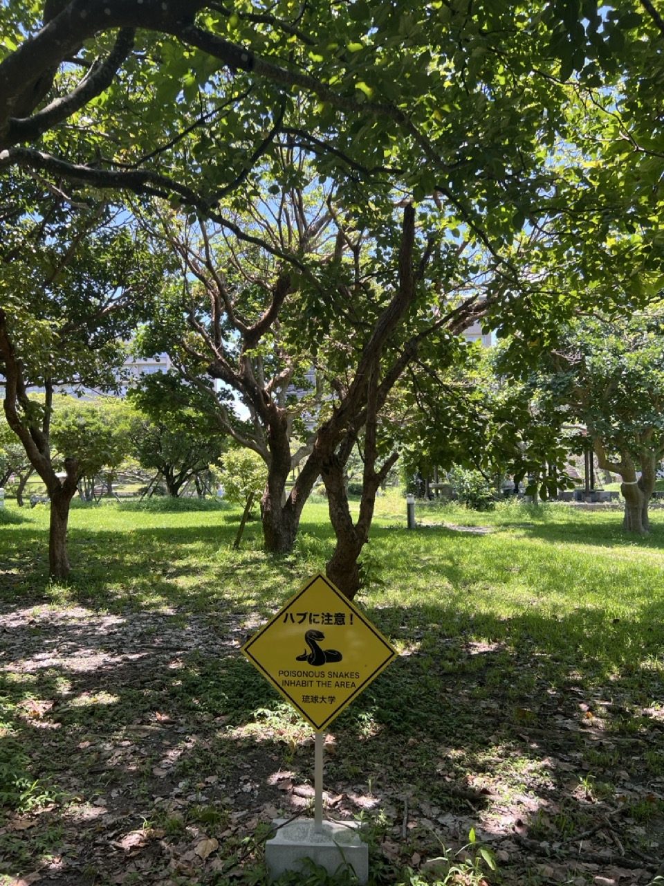 Meetings at Ryukyu University